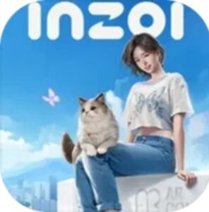 inzoi life